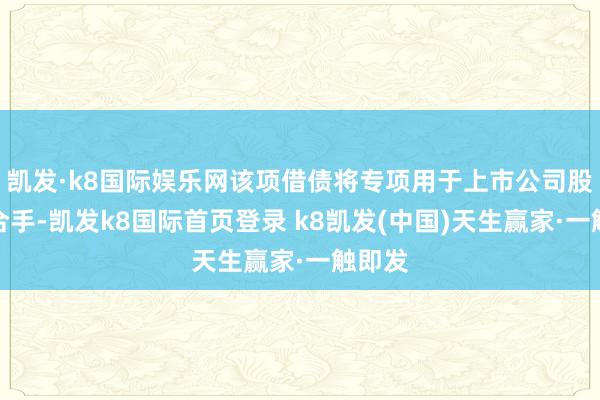 凯发·k8国际娱乐网该项借债将专项用于上市公司股票增合手-凯发k8国际首页登录 k8凯发(中国)天生赢家·一触即发