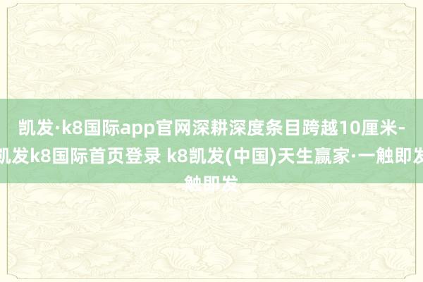 凯发·k8国际app官网深耕深度条目跨越10厘米-凯发k8国际首页登录 k8凯发(中国)天生赢家·一触即发