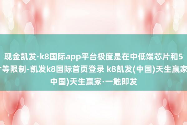 现金凯发·k8国际app平台极度是在中低端芯片和5G通讯芯片等限制-凯发k8国际首页登录 k8凯发(中国)天生赢家·一触即发