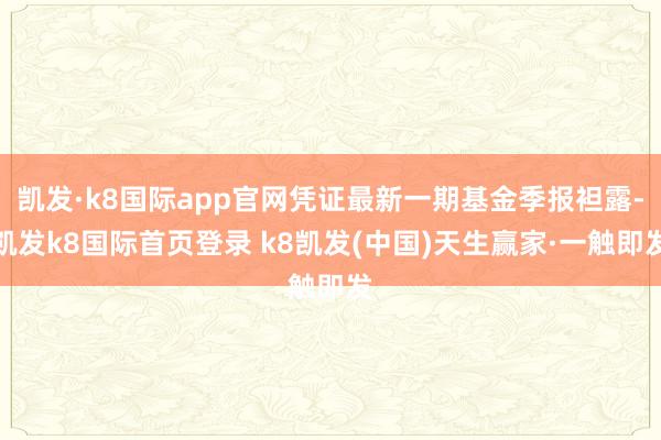 凯发·k8国际app官网凭证最新一期基金季报袒露-凯发k8国际首页登录 k8凯发(中国)天生赢家·一触即发