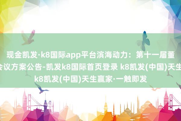现金凯发·k8国际app平台滨海动力：第十一届董事会第十七次会议方案公告-凯发k8国际首页登录 k8凯发(中国)天生赢家·一触即发